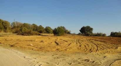 Terrain agricole à Albufeira e Olhos de Água de 3 960 m²