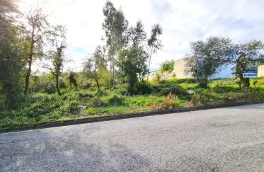 Building land in Juncal of 7,480 m²