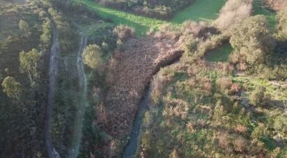 Land in Aguiar de Sousa of 3,620 m²