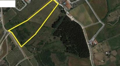 Terreno em Santo Quintino de 18 600 m²