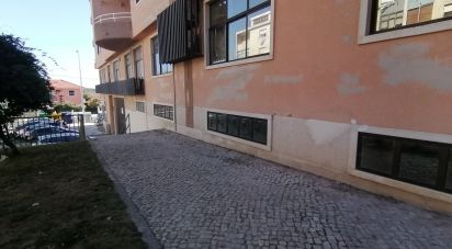 Commercial walls in Queluz e Belas of 3,000 m²