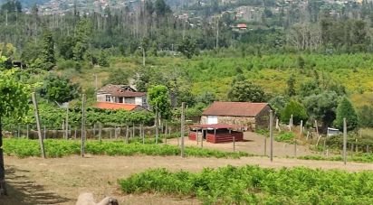 Maison T4 à Monção e Troviscoso de 444 m²