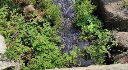 Maison T4 à Monção e Troviscoso de 444 m²