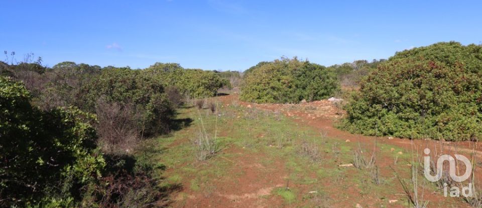 Terreno de Lazer em Bensafrim e Barão de São João de 48 580 m²