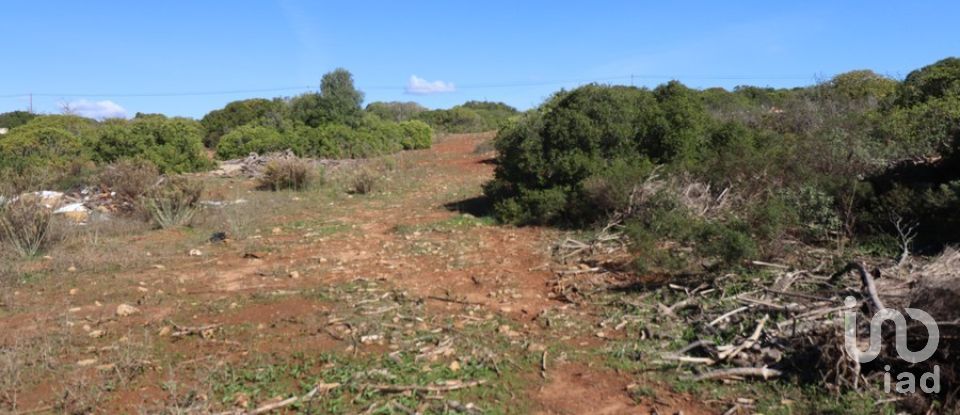 Terreno de Lazer em Bensafrim e Barão de São João de 48 580 m²