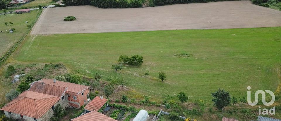 Farm T3 in Madalena e Samaiões of 65,400 m²