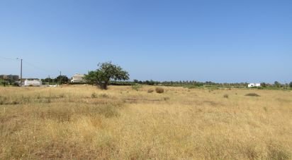 Land in Guia of 2,760 m²