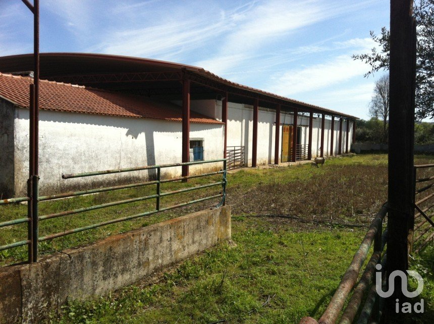 Farm T2 in Vila Nova da Baronia of 22,775 m²