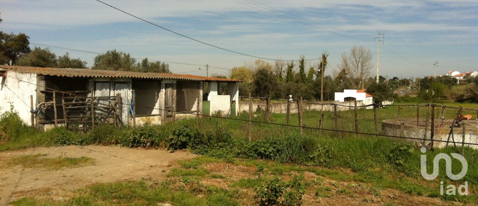 Farm T2 in Vila Nova da Baronia of 22,775 m²