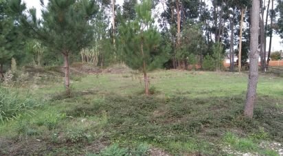 Building land in Amor of 1,200 m²