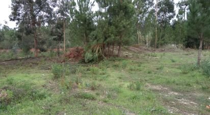 Building land in Amor of 1,200 m²