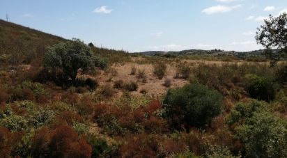 Terrain à Odiáxere de 175 000 m²