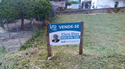 Terrain à Eiras E São Paulo De Frades de 450 m²