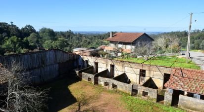 Maison T5 à Luso de 161 m²