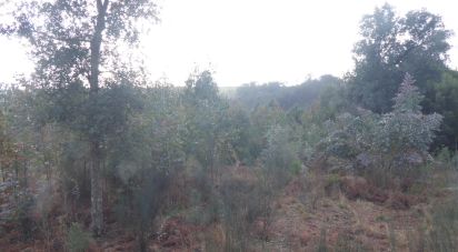 Terrain à Cavernães de 1 719 m²