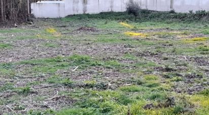 Terrain à bâtir à Galegos (Santa Maria) de 792 m²