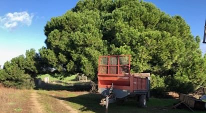 Terrain à Pinhal Novo de 129 000 m²