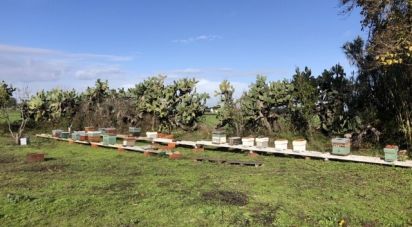 Terrain à Pinhal Novo de 129 000 m²