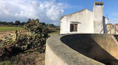 Terrain à Pinhal Novo de 129 000 m²