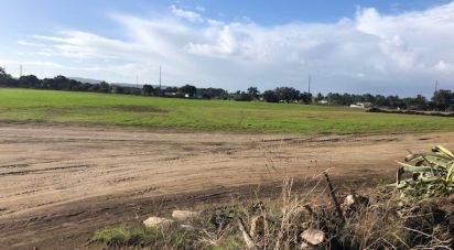 Terrain à Pinhal Novo de 129 000 m²