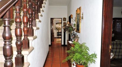 Maison T6 à Riachos de 433 m²