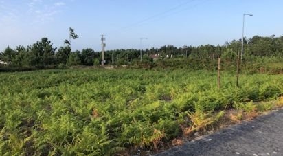 Terrain à Vieira de Leiria de 535 m²