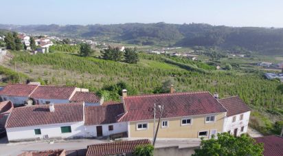 Gîte T4 à Santa Catarina de 265 m²