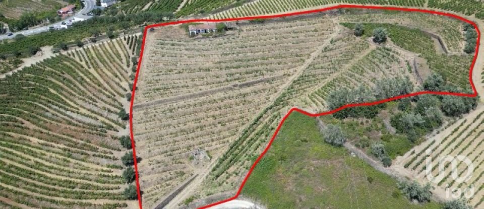 Maison rustique T4 à Peso da Régua e Godim de 343 m²