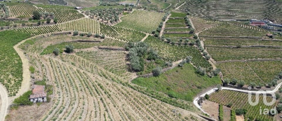 Maison rustique T4 à Peso da Régua e Godim de 343 m²