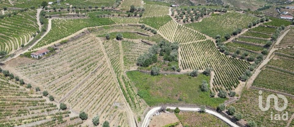 Maison rustique T4 à Peso da Régua e Godim de 343 m²