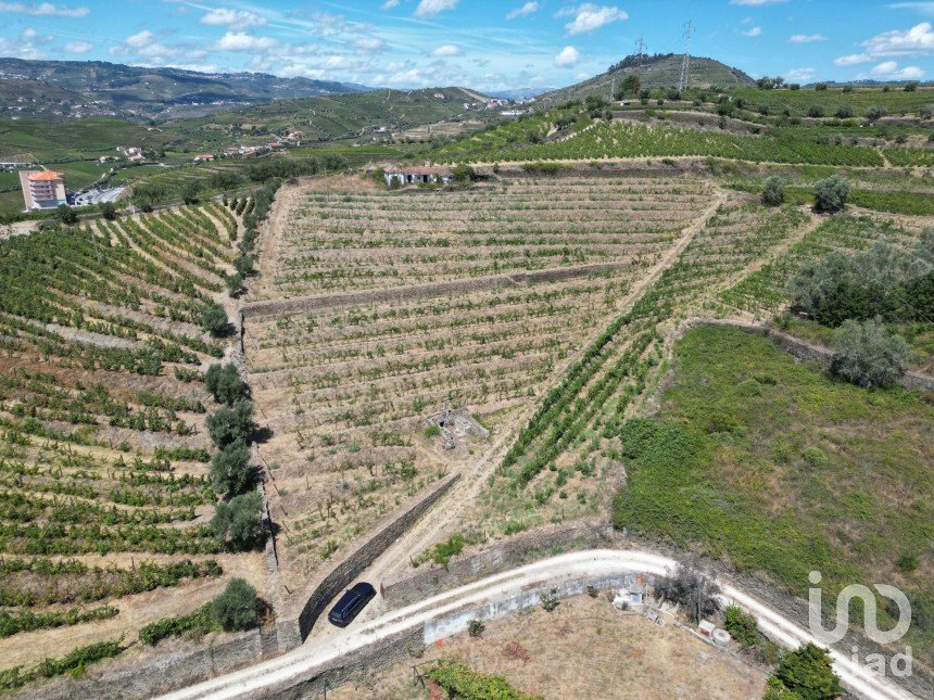 Maison rustique T4 à Peso da Régua e Godim de 343 m²