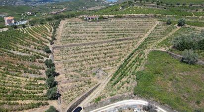 Maison rustique T4 à Peso da Régua e Godim de 343 m²