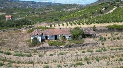 Maison rustique T4 à Peso da Régua e Godim de 343 m²