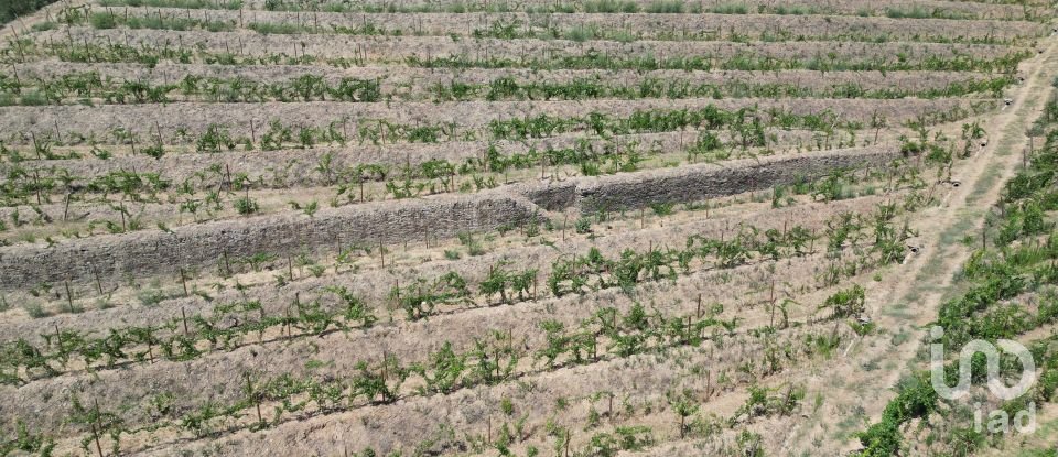 Maison rustique T4 à Peso da Régua e Godim de 343 m²