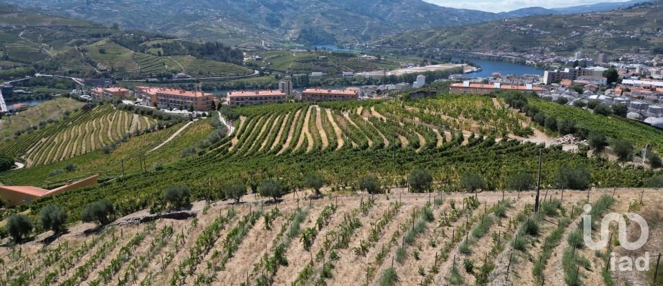 Maison rustique T4 à Peso da Régua e Godim de 343 m²