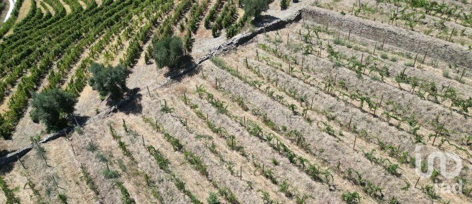 Maison rustique T4 à Peso da Régua e Godim de 343 m²