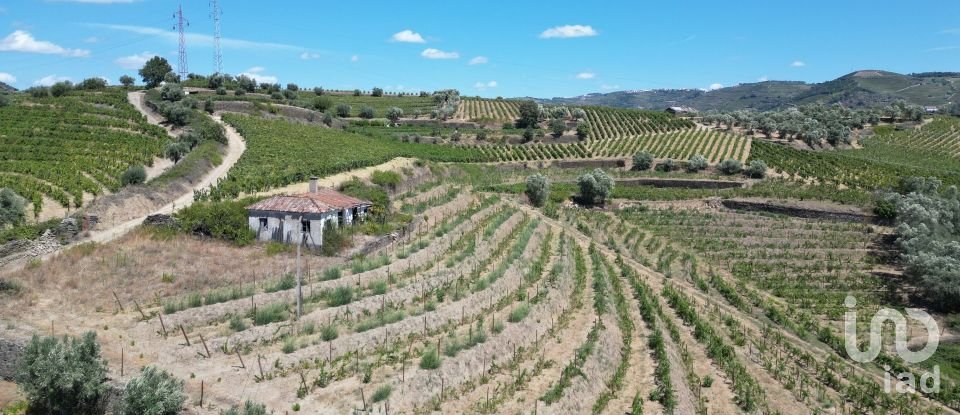 Maison rustique T4 à Peso da Régua e Godim de 343 m²