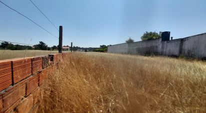 Terrain à bâtir à Gafanha da Encarnação de 1 570 m²