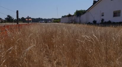 Terrain à bâtir à Gafanha da Encarnação de 1 570 m²