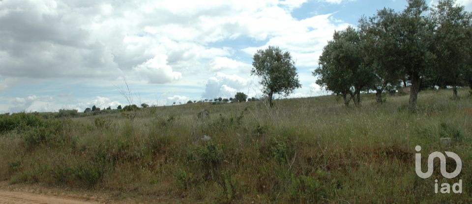 Terrain agricole à Casével e Vaqueiros de 3 600 m²