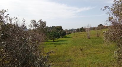 Terrain à Santa Eufémia e Boa Vista de 6 000 m²