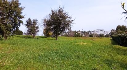 Terreno em Santa Eufémia e Boa Vista de 6 000 m²