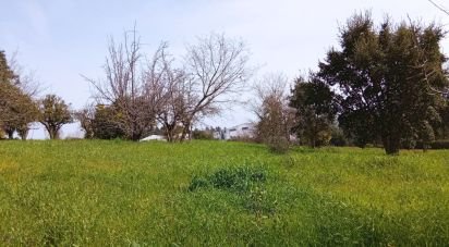 Terrain à Santa Eufémia e Boa Vista de 6 000 m²