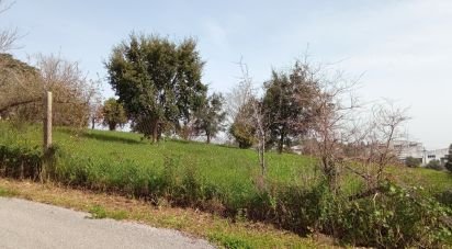 Terrain à Santa Eufémia e Boa Vista de 6 000 m²