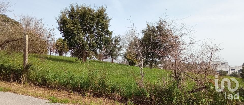 Terreno em Santa Eufémia e Boa Vista de 6 000 m²