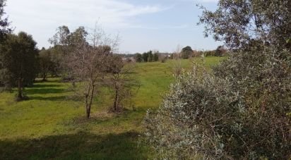 Terrain à Santa Eufémia e Boa Vista de 6 000 m²