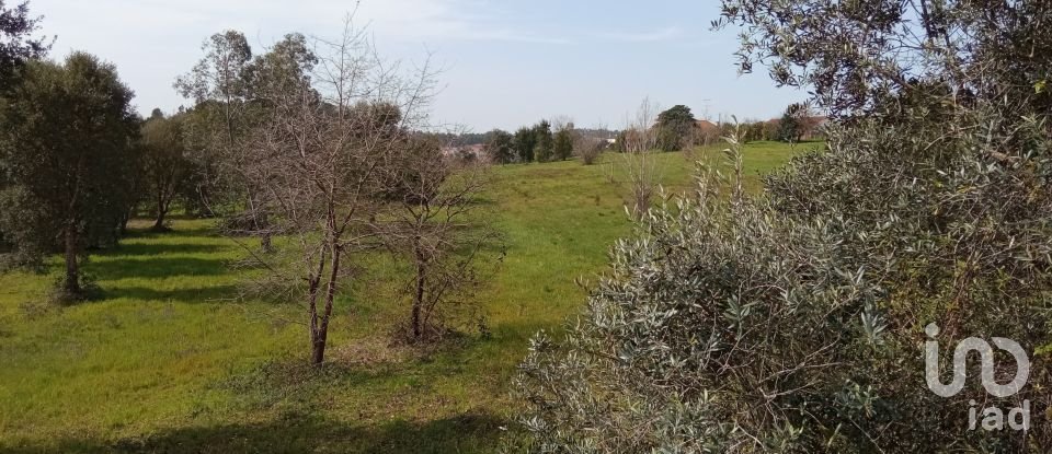 Terreno em Santa Eufémia e Boa Vista de 6 000 m²