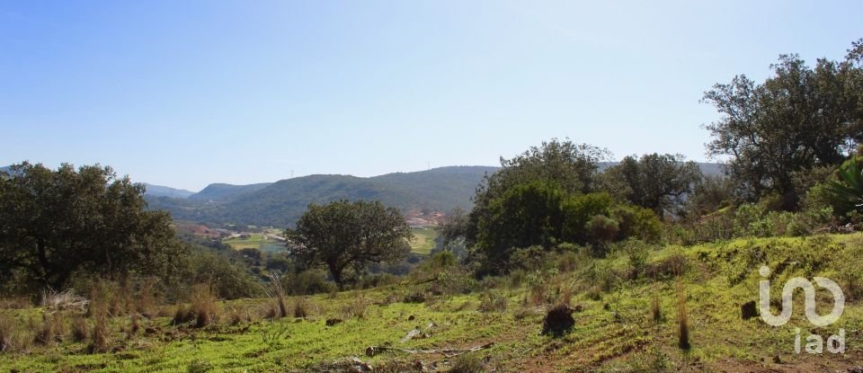 Building land in Querença, Tôr e Benafim of 2,600 m²