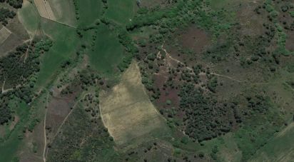 Terrain à bâtir à Santa Maria Maior de 32 590 m²