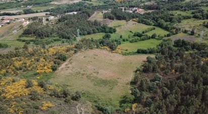 Terrain à bâtir à Santa Maria Maior de 32 590 m²